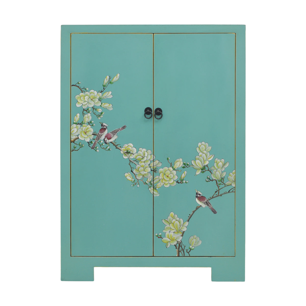 Teal shoe cabinet sale